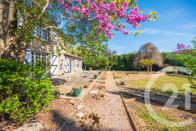 maison à vendre - 7 pièces - 179.0 m2 - PEYRIAC MINERVOIS - 11 - LANGUEDOC-ROUSSILLON - Century 21 La Pierre Du Languedoc