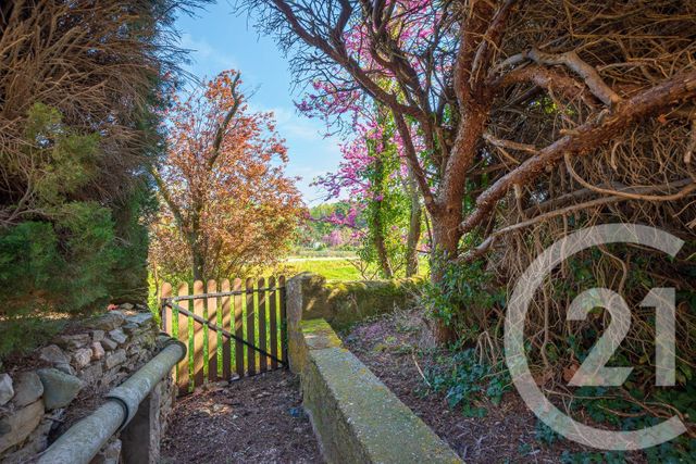 maison à vendre - 7 pièces - 179.0 m2 - PEYRIAC MINERVOIS - 11 - LANGUEDOC-ROUSSILLON - Century 21 La Pierre Du Languedoc