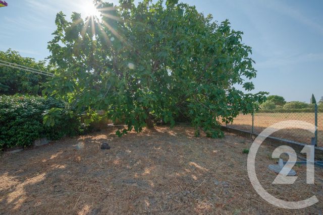 maison à vendre - 6 pièces - 126.0 m2 - PEYRIAC MINERVOIS - 11 - LANGUEDOC-ROUSSILLON - Century 21 La Pierre Du Languedoc