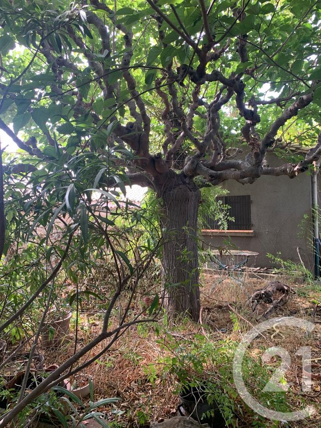 maison à vendre - 11 pièces - 150.0 m2 - CASTELNAU D AUDE - 11 - LANGUEDOC-ROUSSILLON - Century 21 La Pierre Du Languedoc